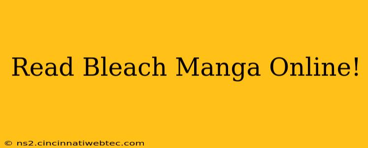 Read Bleach Manga Online!