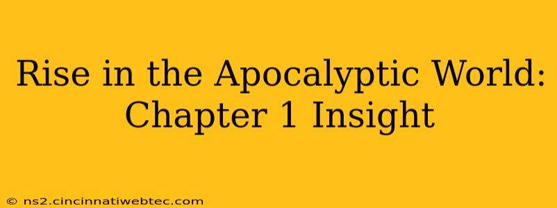 Rise in the Apocalyptic World: Chapter 1 Insight